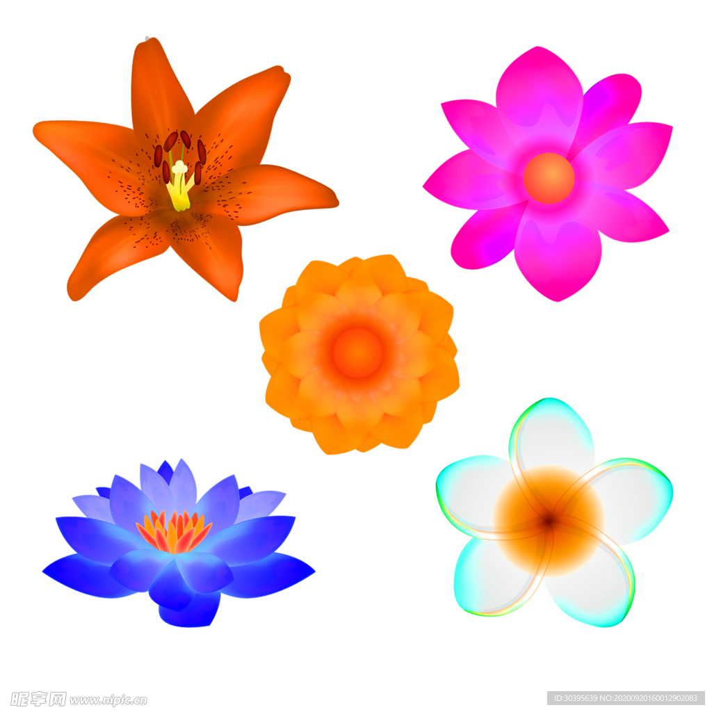 花素材