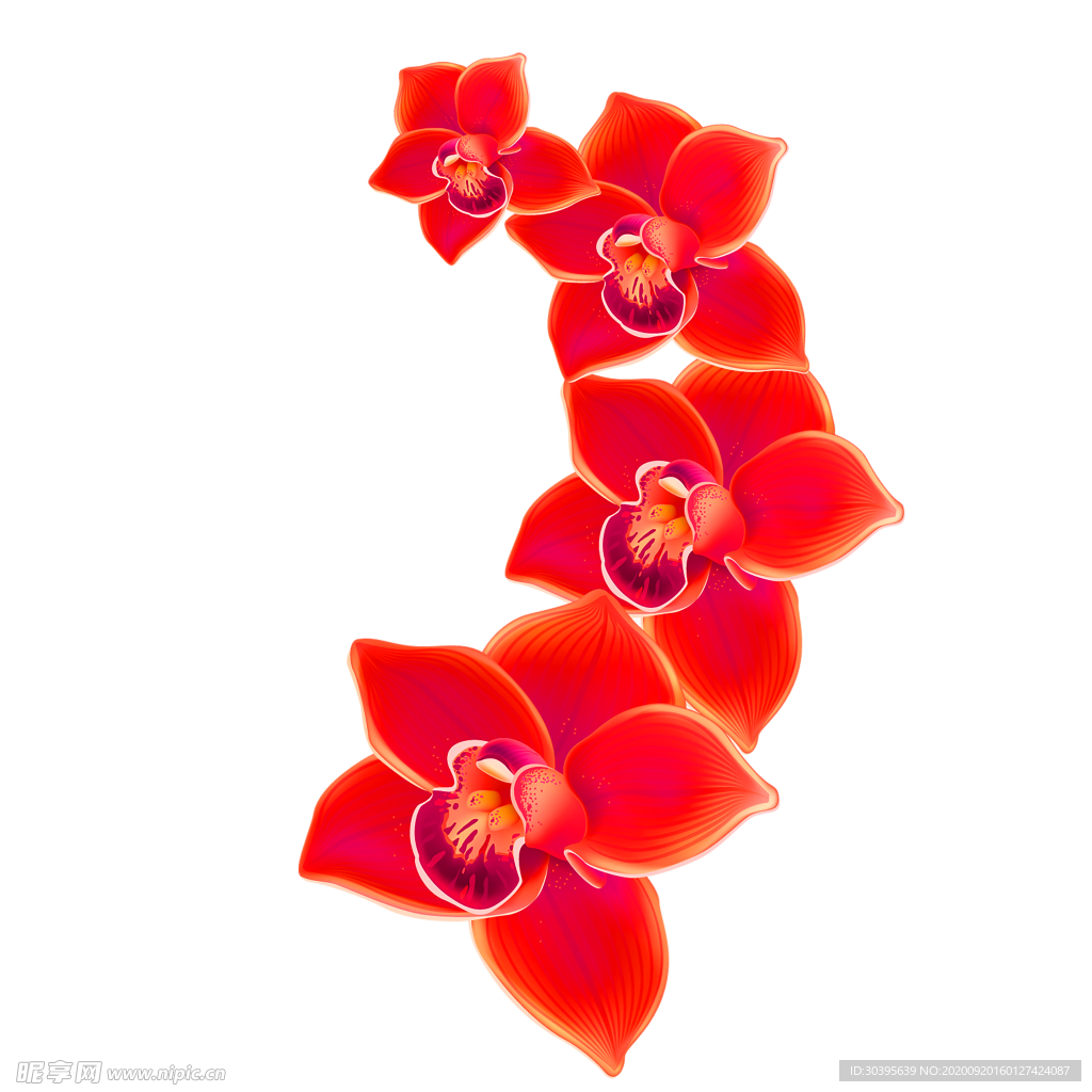 花素材