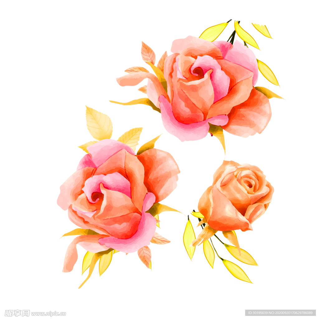 花素材