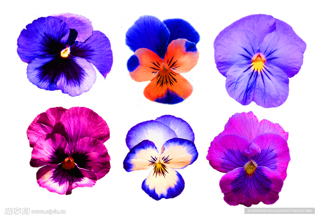 花素材