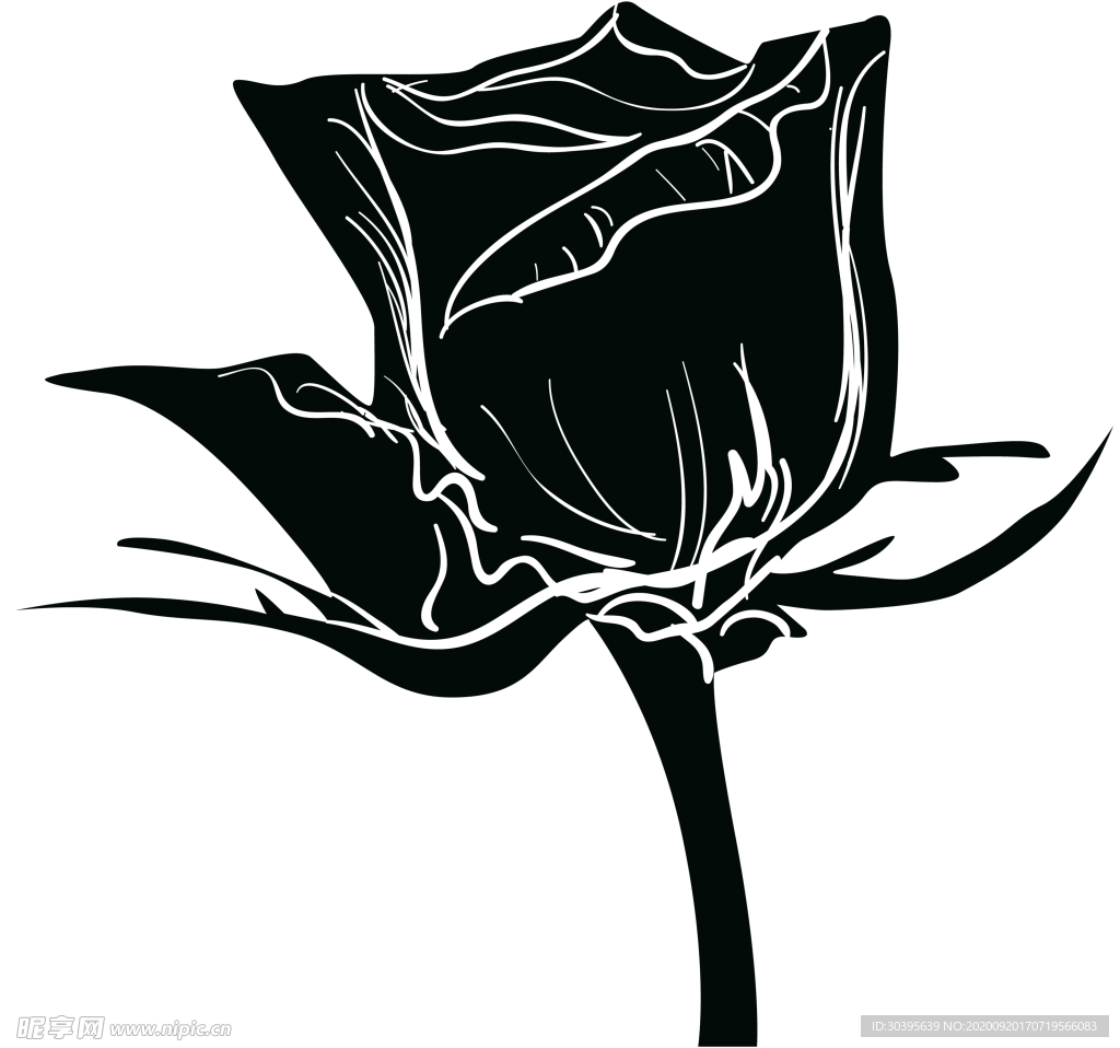 花素材