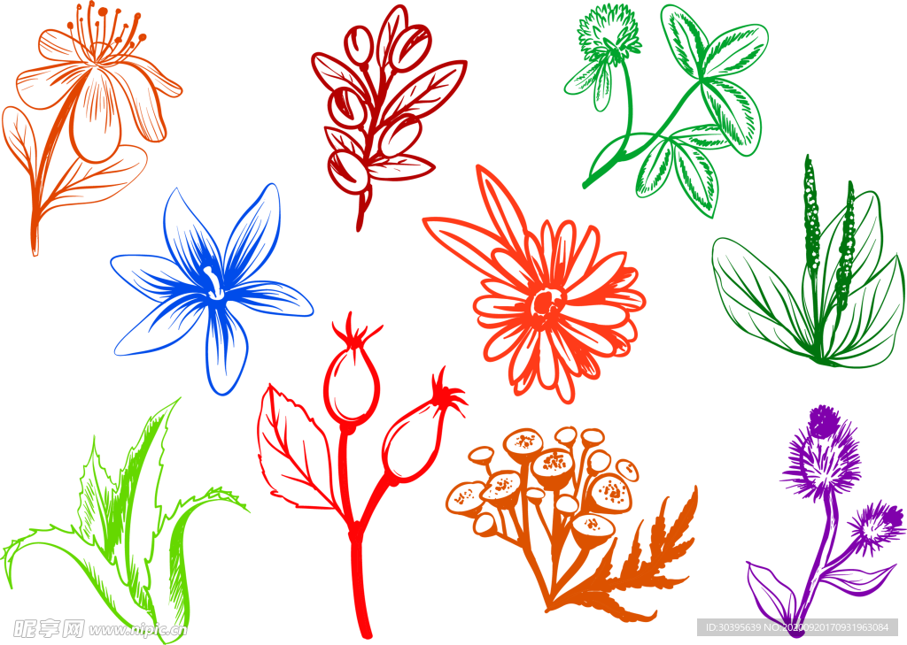 花素材