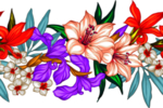 花素材