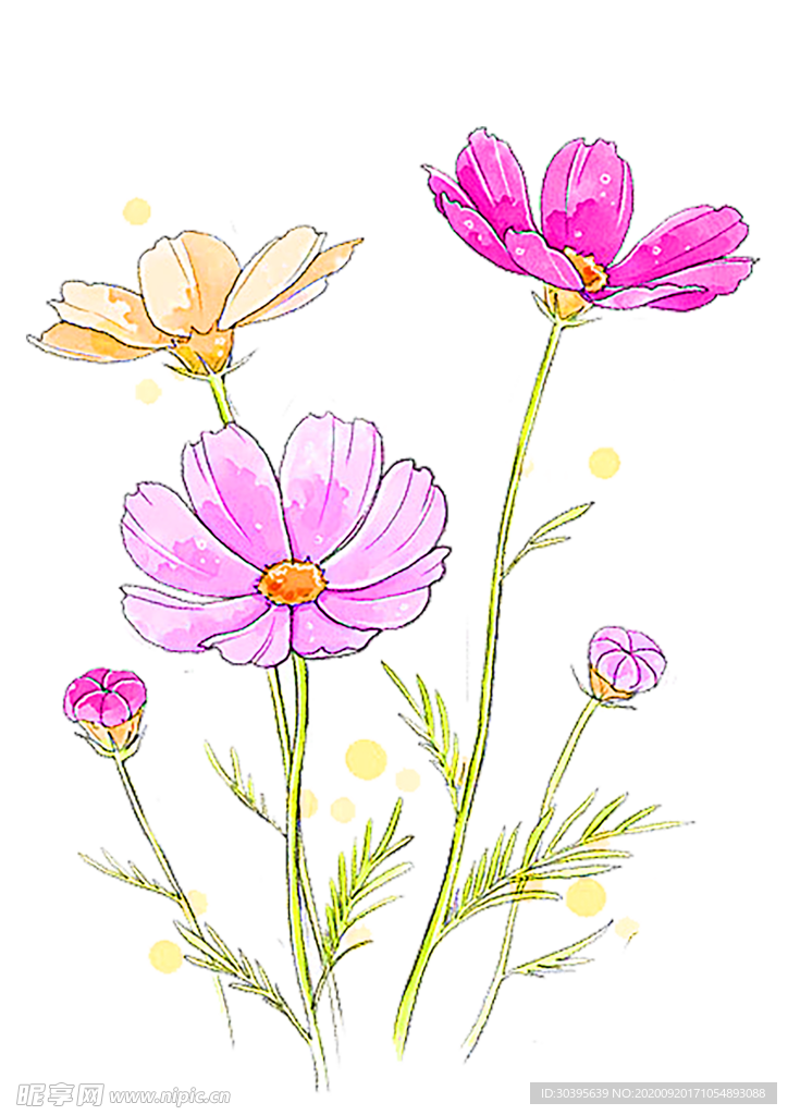 花素材