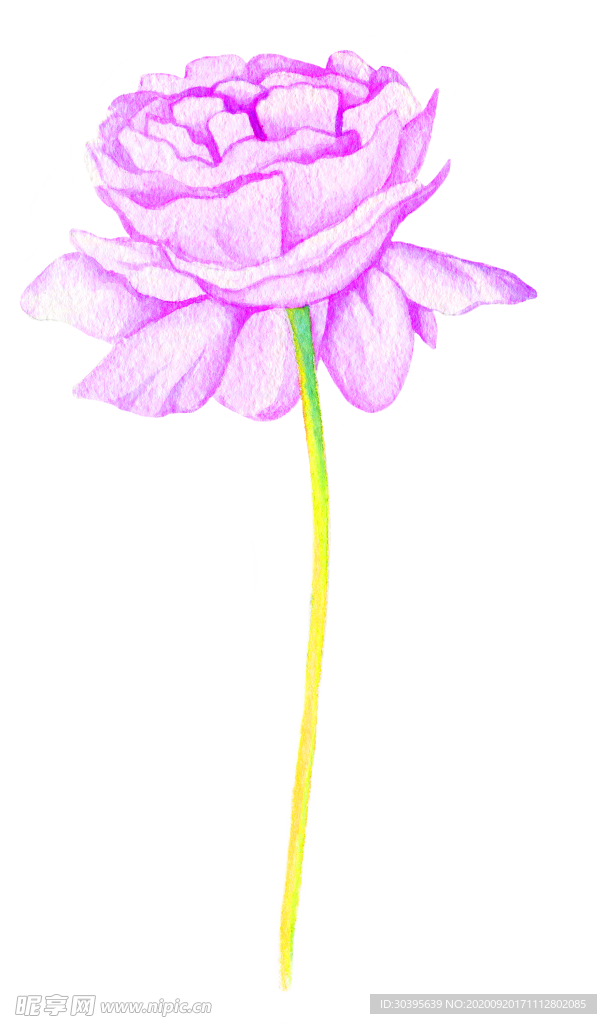花素材