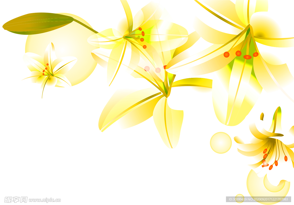 花素材