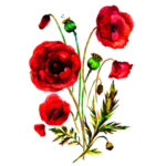 花素材