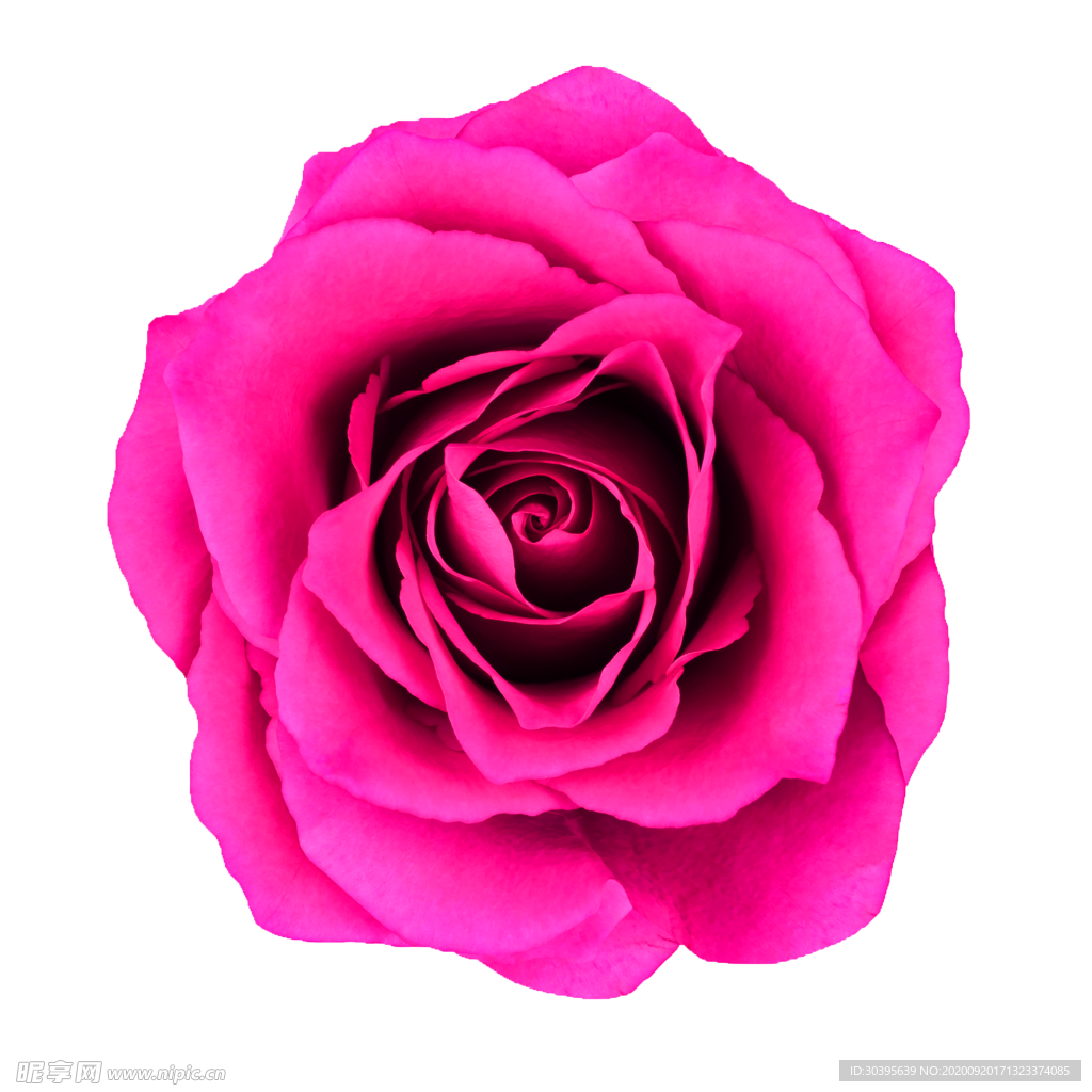 花素材