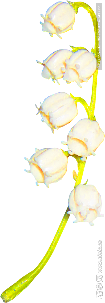 花素材