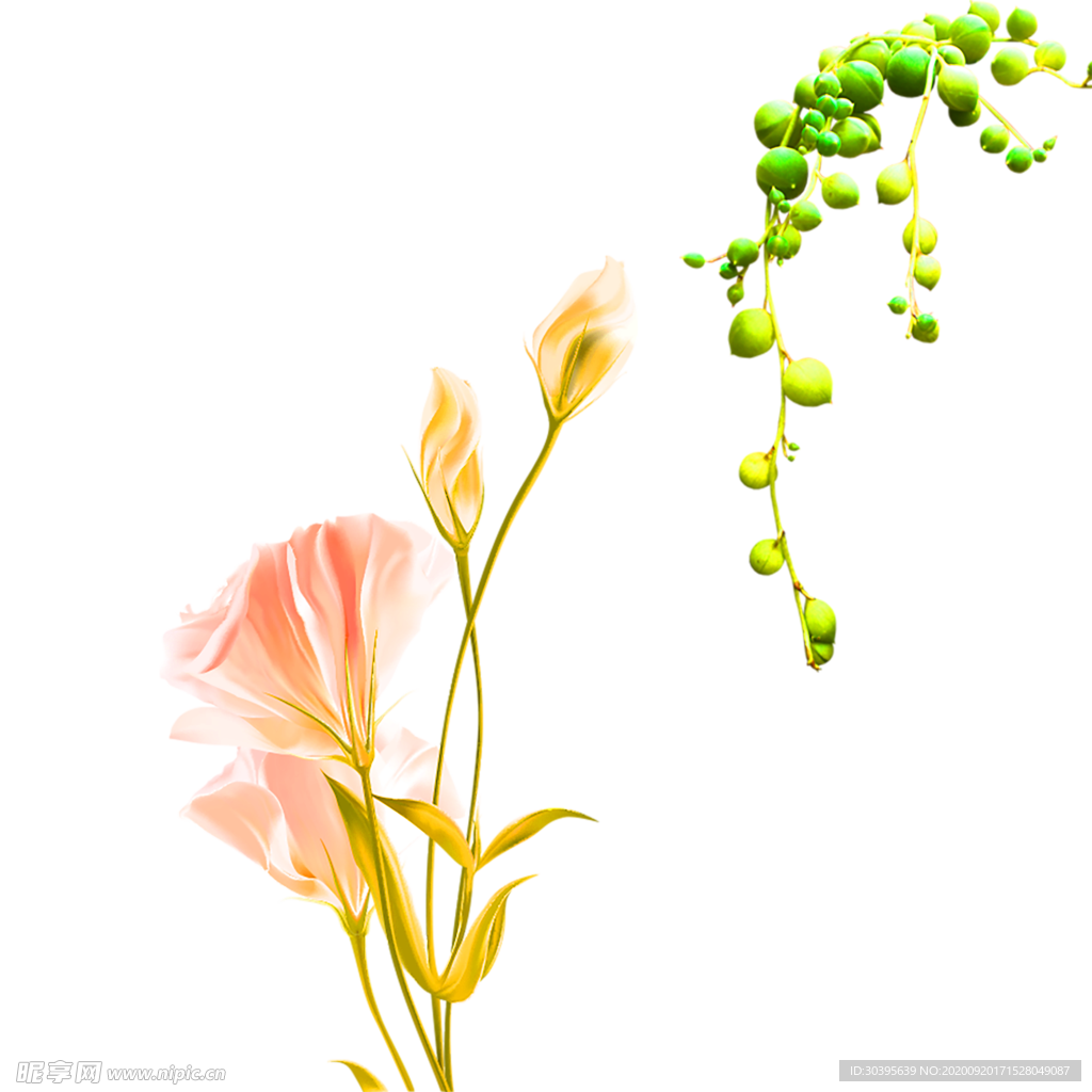 花素材