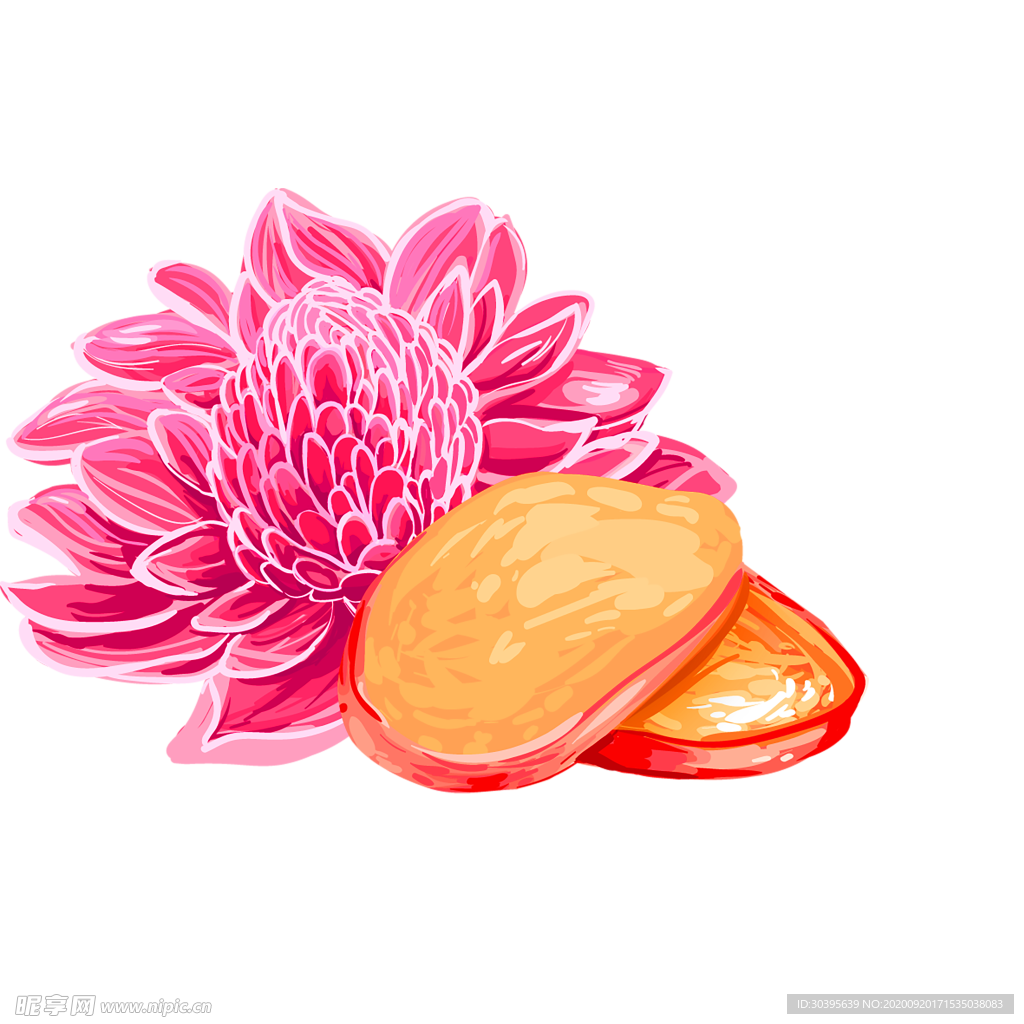 花素材