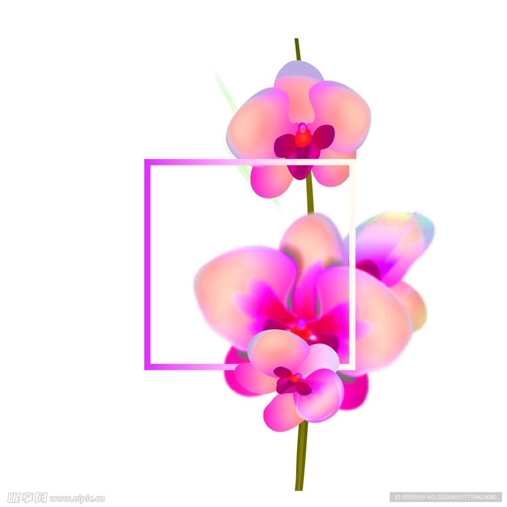 花素材