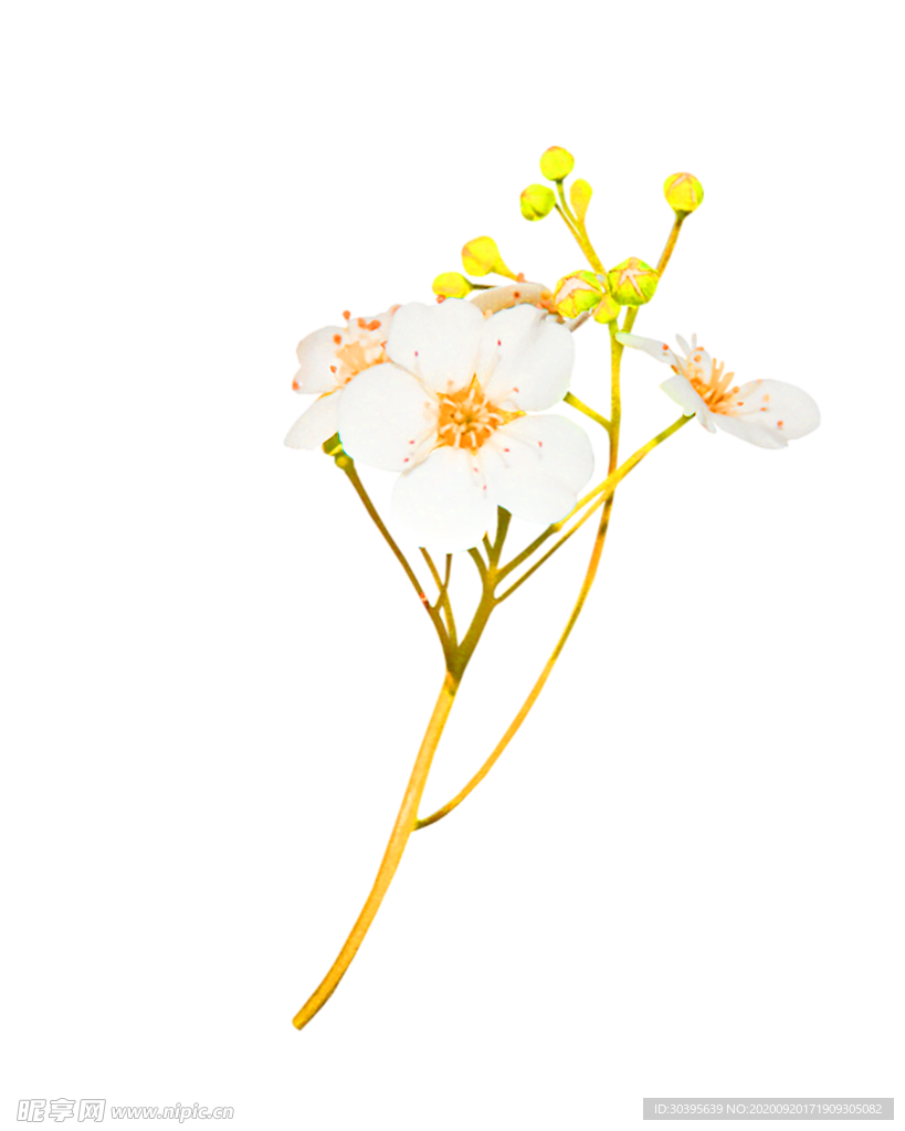 花素材