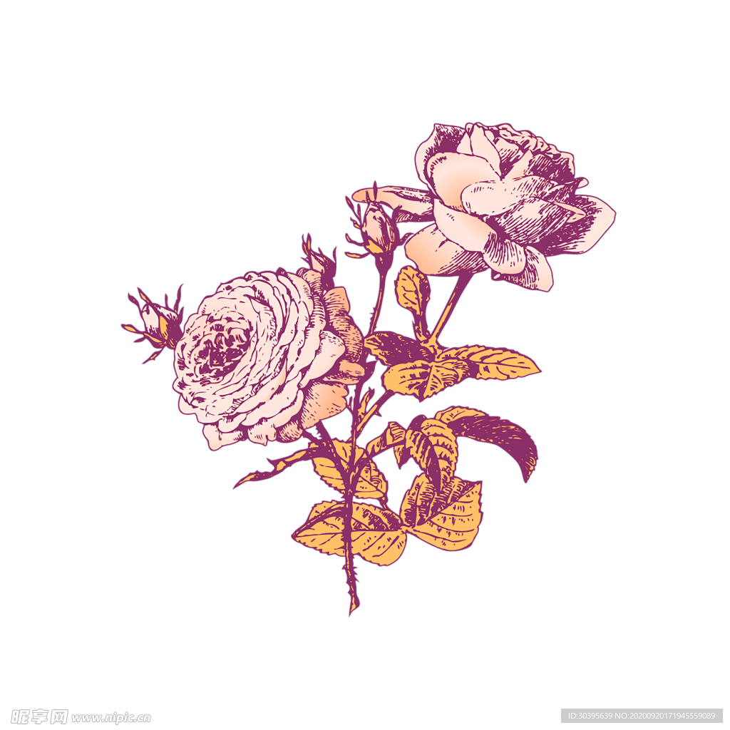 花素材