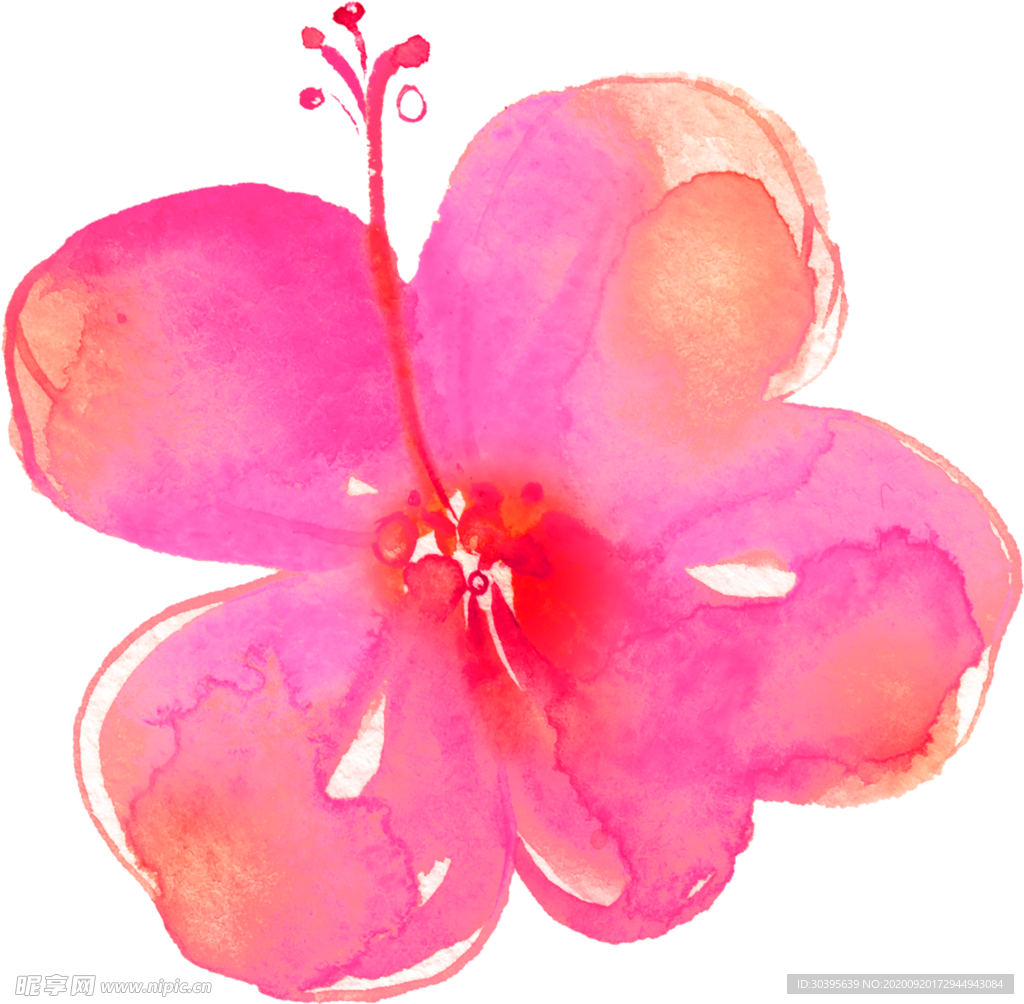 花素材