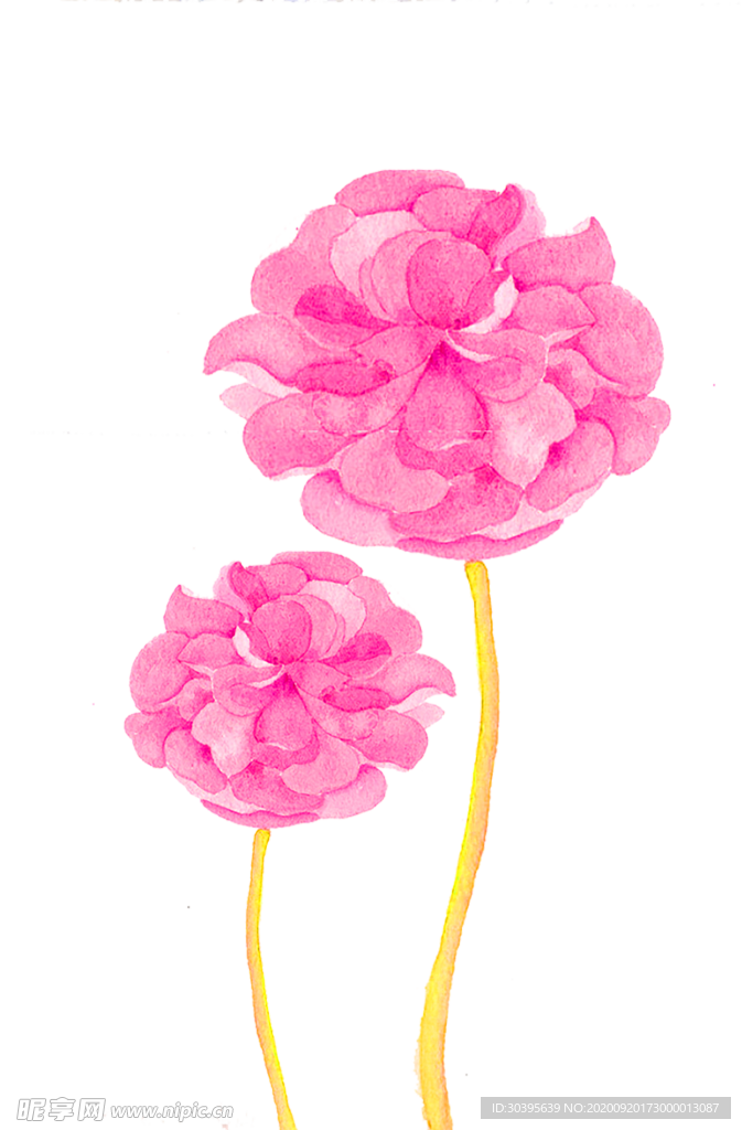 花素材