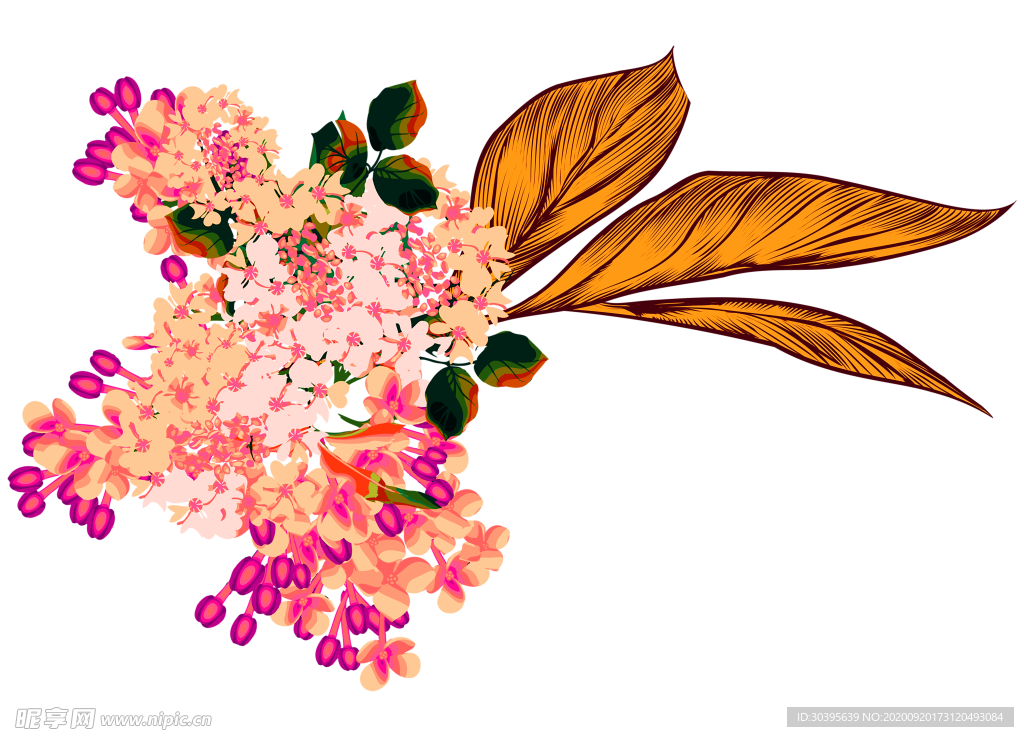 花素材