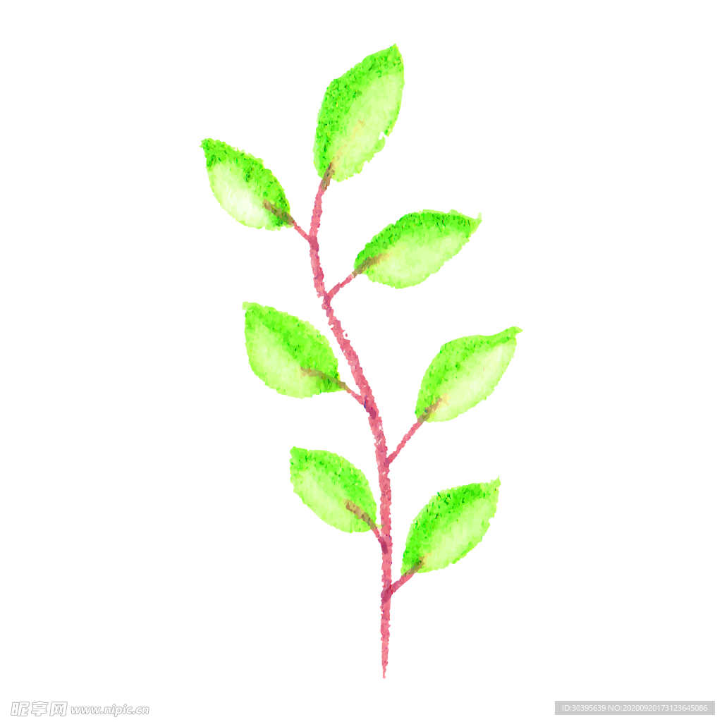 花素材