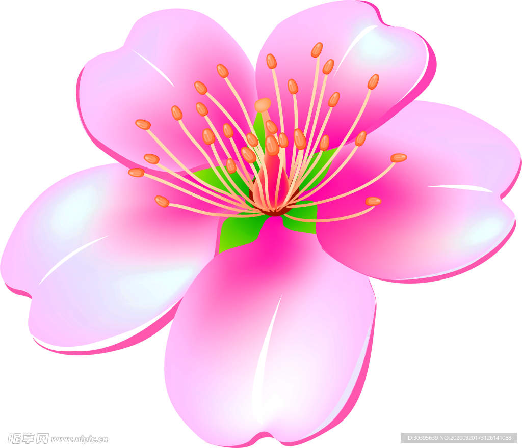 花素材