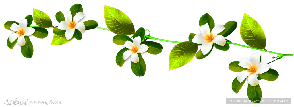 花素材