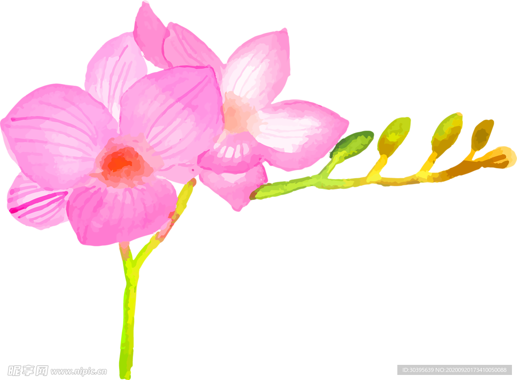 花素材