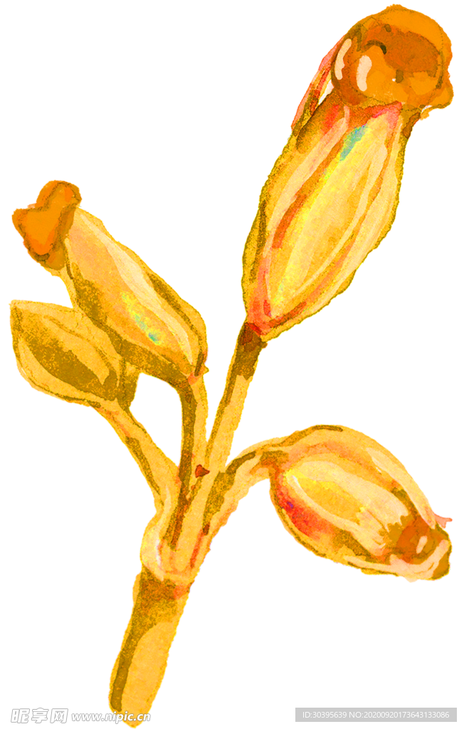 花素材