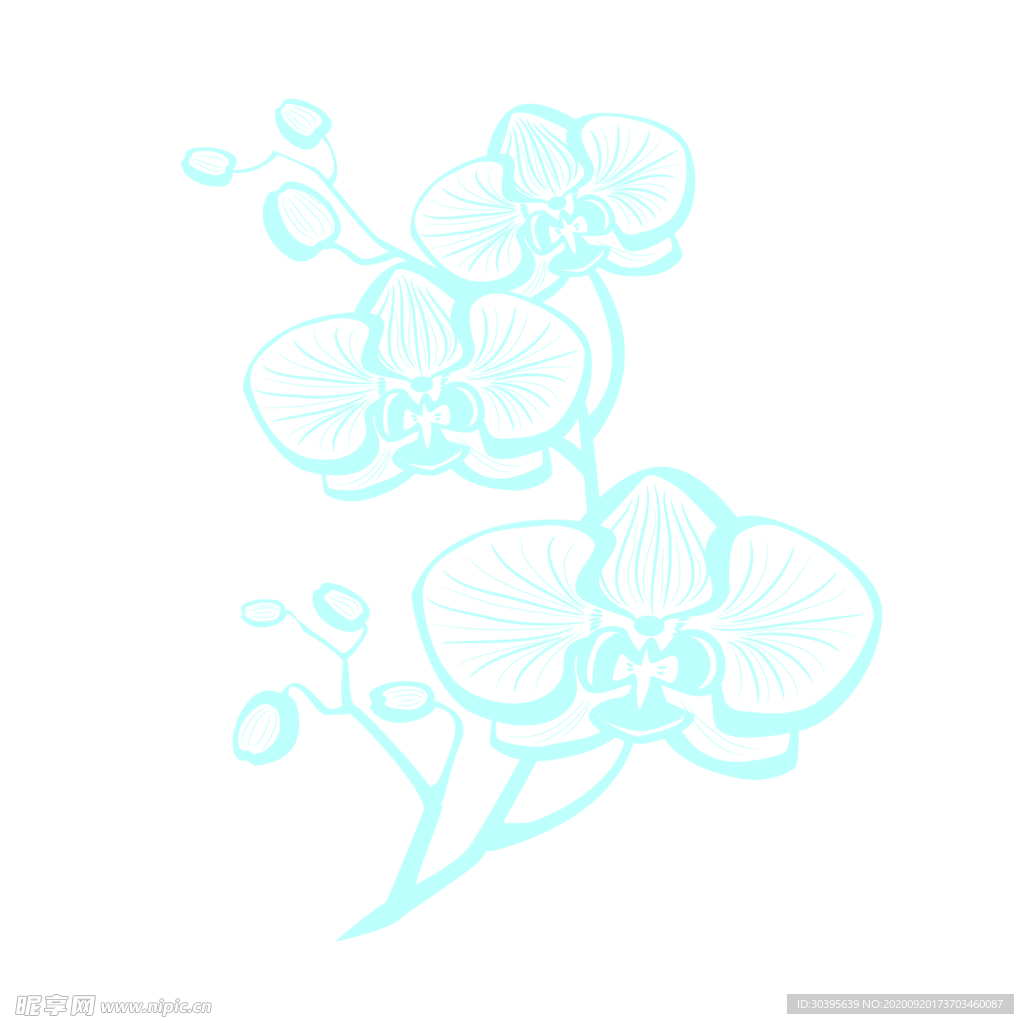 花素材