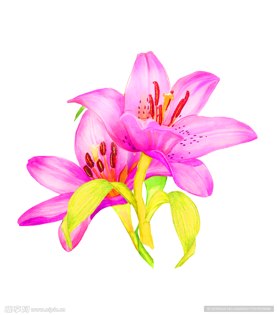 花素材