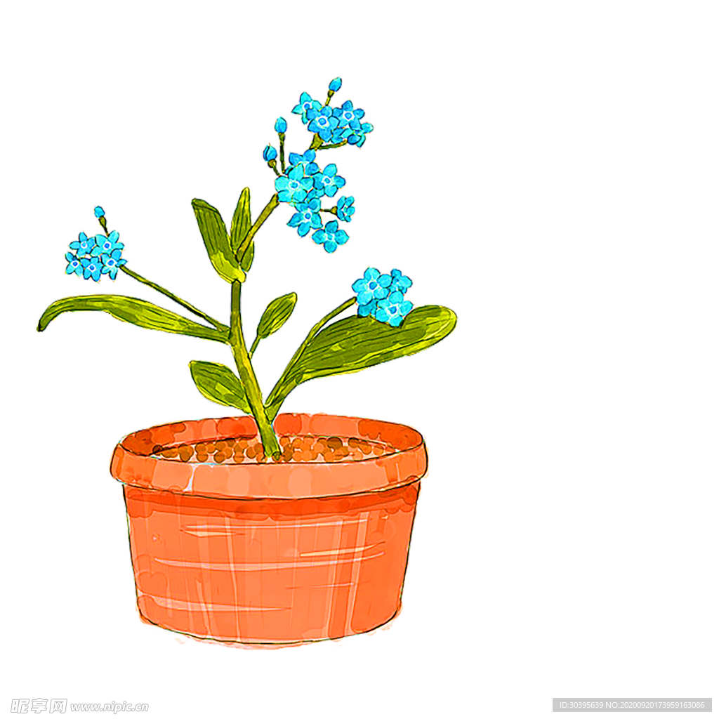 花素材