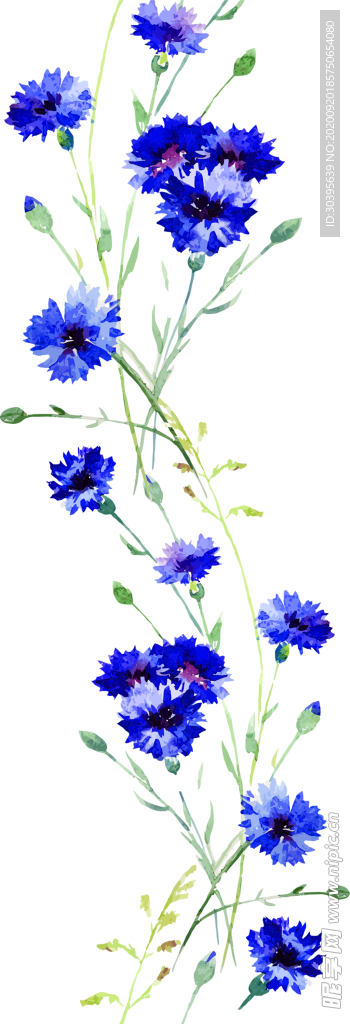 花素材