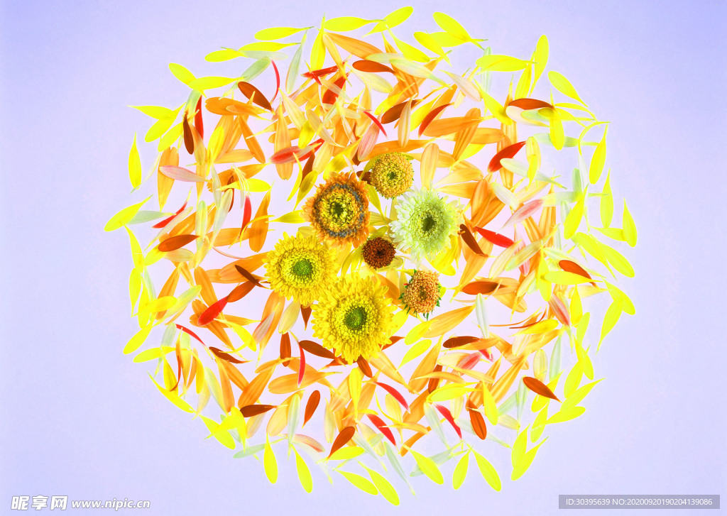 花素材