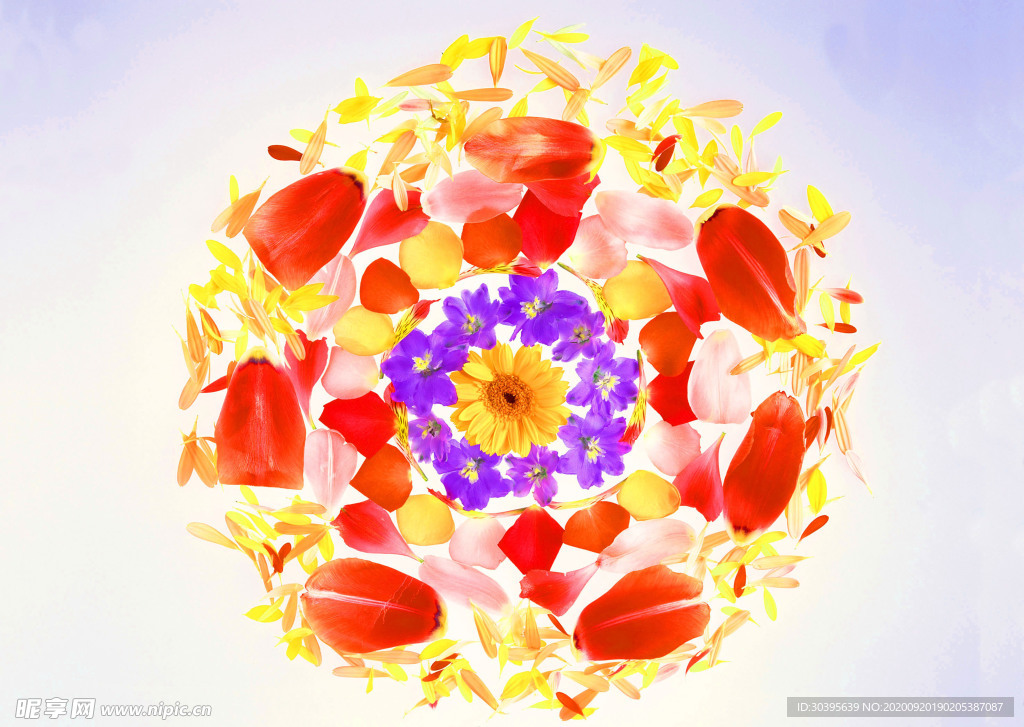 花素材