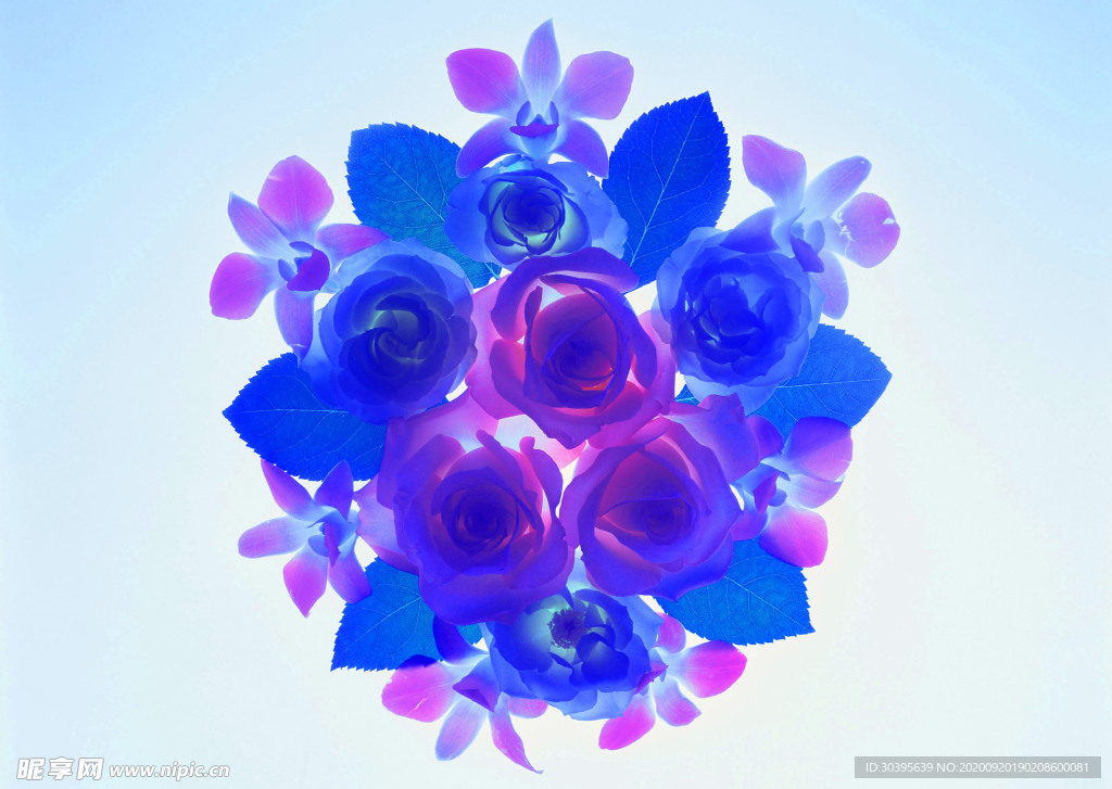 花素材