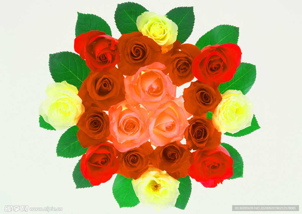 花素材