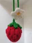 手工编织草莓