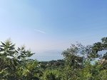 山与海