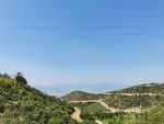 丘陵