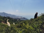 丘陵