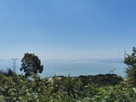 山与海