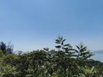 山