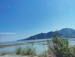 滩涂风光