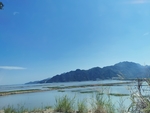 滩涂