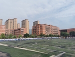美丽的校园