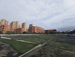 学校操场
