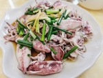 小鱿鱼