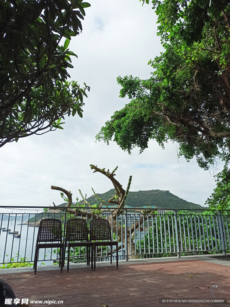 风景