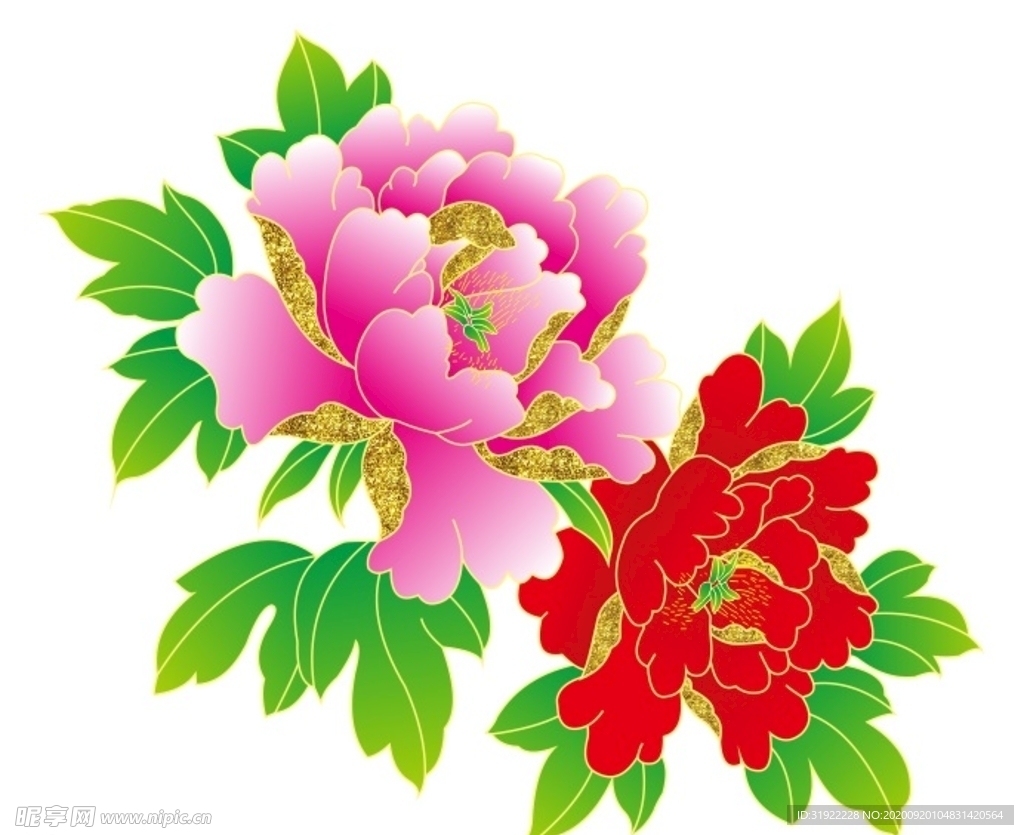 牡丹花 上伍