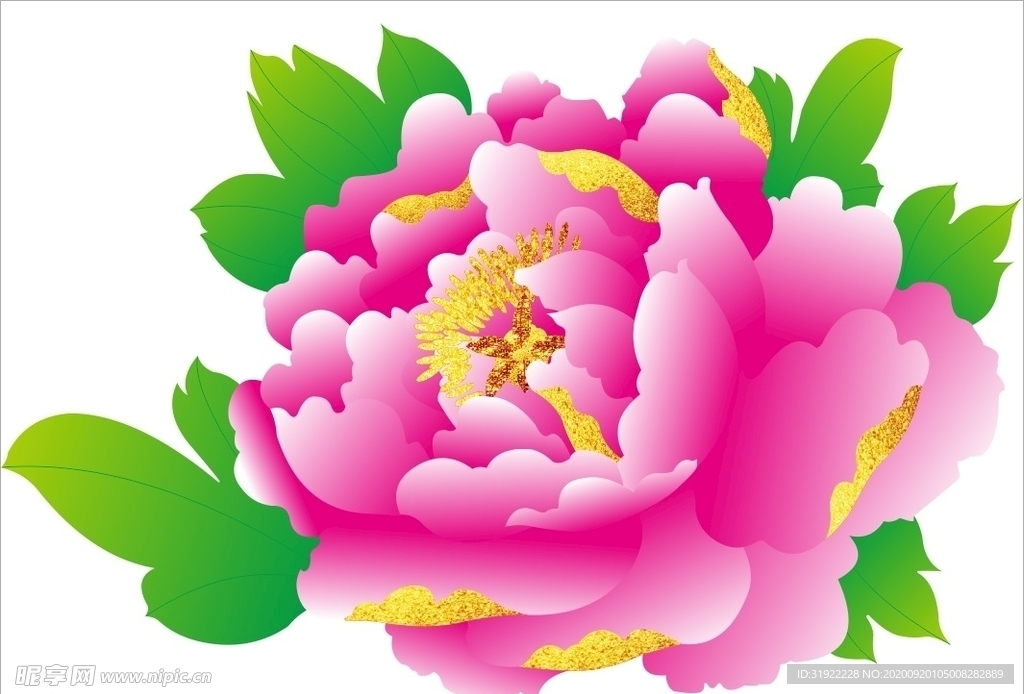 牡丹花 上陆