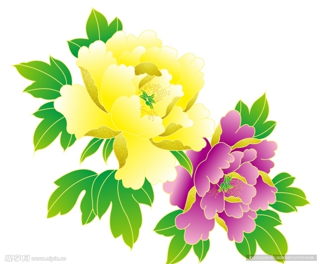 牡丹花 上柒