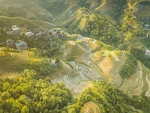 梯田